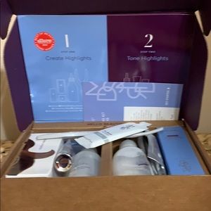 Madison Reed Highlight Kit